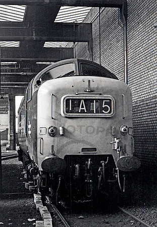9007 York Shed 210372  NP808