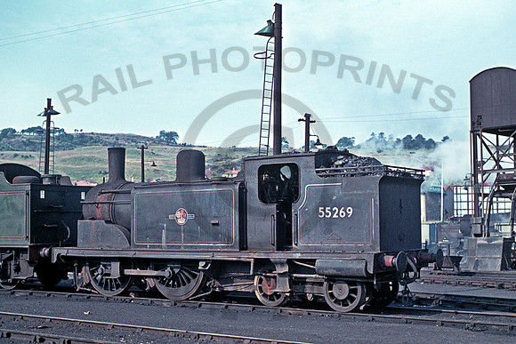 55269 Perth 260362 NS2044-38