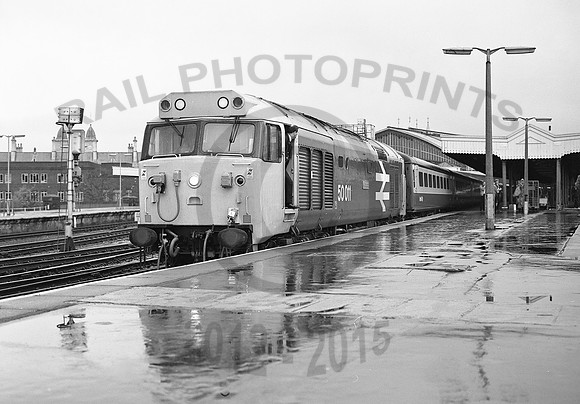 50011-Bristol-300483-JC419