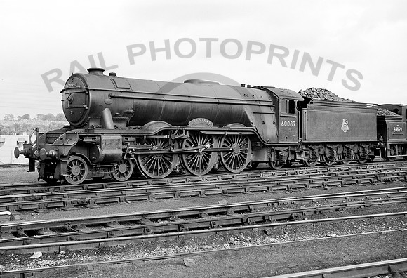 60089 Haymarket Shed 1957   DA044