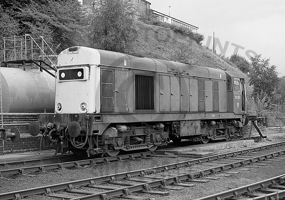 20191-Buxton-010984-JC444