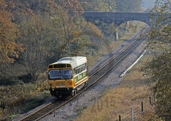 BR Leyland Railbus Sea Mills 231081  RP730