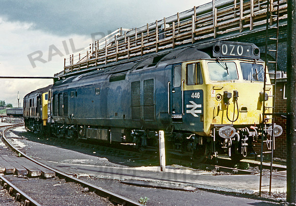 446 Chester  030673 DCross084