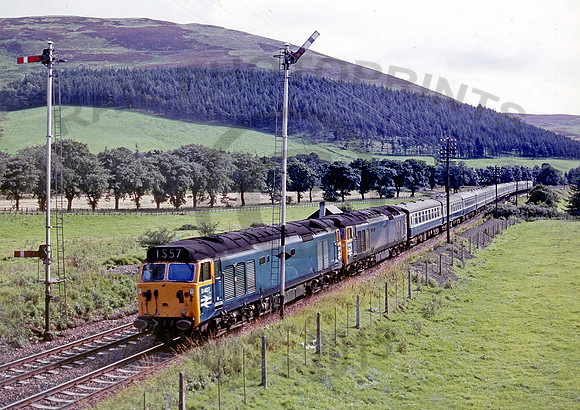 D407 Lamington 150670 DCross073