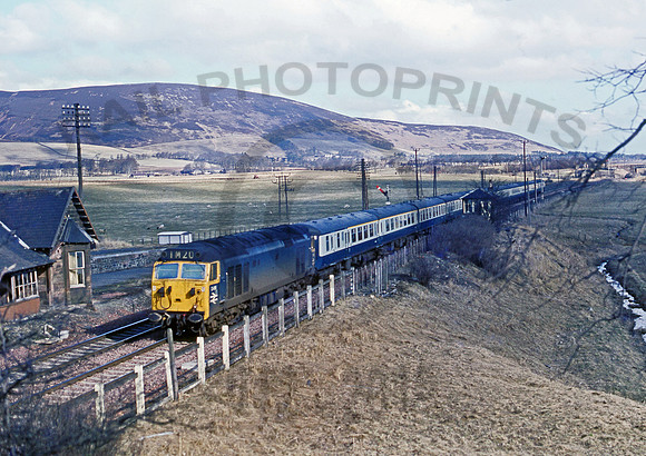 D416 Lamington   240370  DCross079