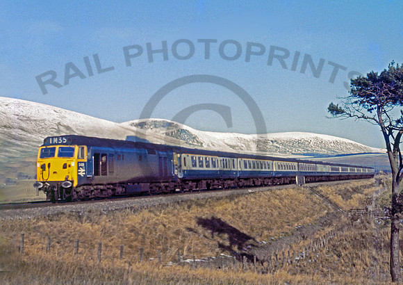 D436 Lamington 1170 DCross082