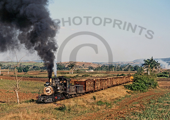1320 Potrerillo 200202 CW518