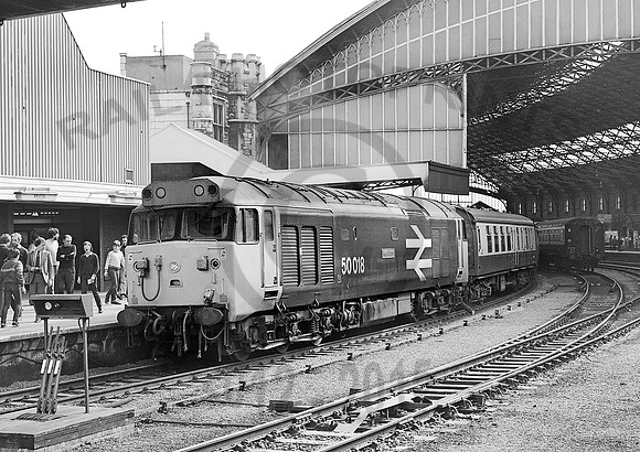 50018-Y-BristolTM-300483-JC448
