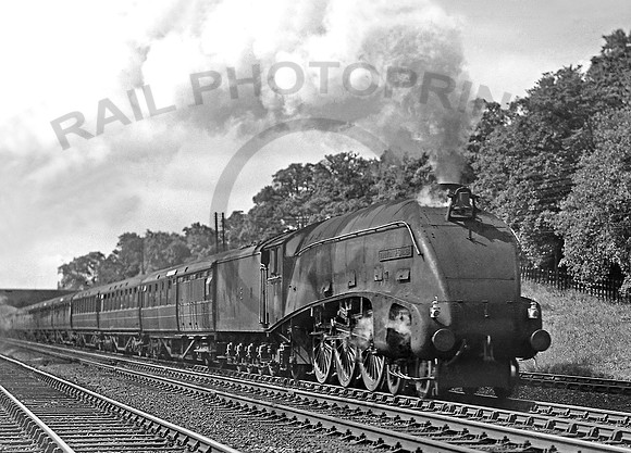 10 Hadley Wood 0747 RPC446