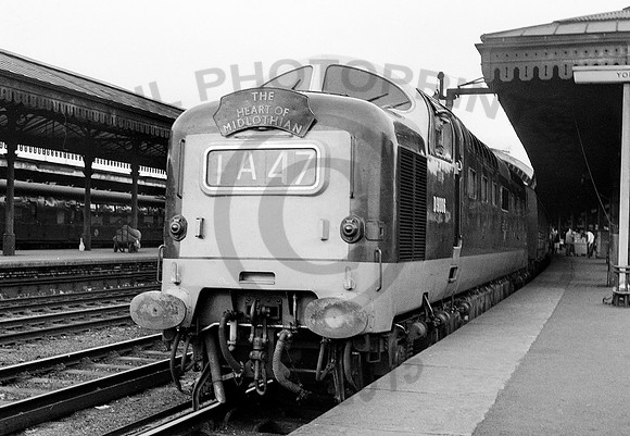 D9006-Y-York-0863-RAW083