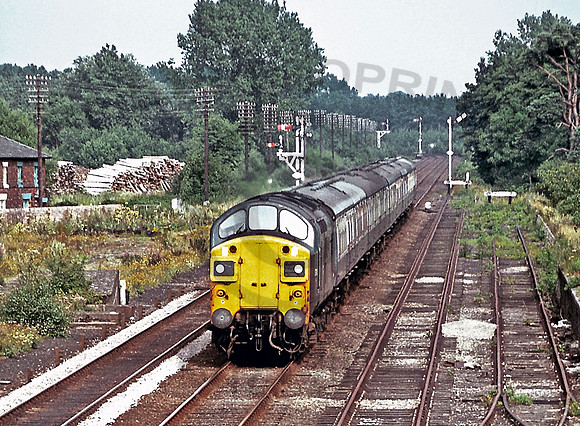 37110-Brandon-090880-GE110