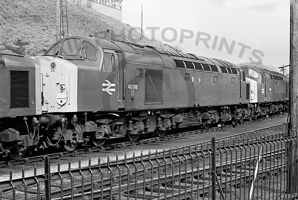 40018-Buxton-270378-JC