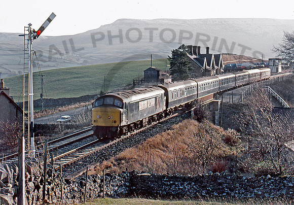 45117-Y-KirbyStephen-101283-BR228