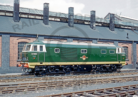 D7003-Y-Swindon-300561-DCC509