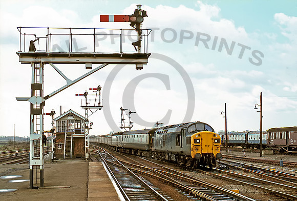 37084-Ely-260381-GE2803