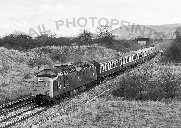 55016 Westbury Avoider 281181 JC042