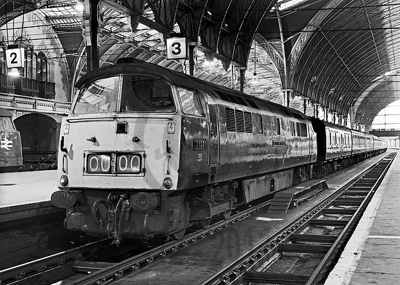 1071 Paddington 230376   DCC194