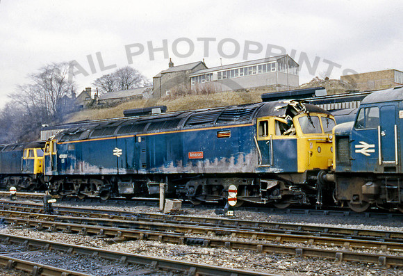 47089 Buxton  210287 ABerry027
