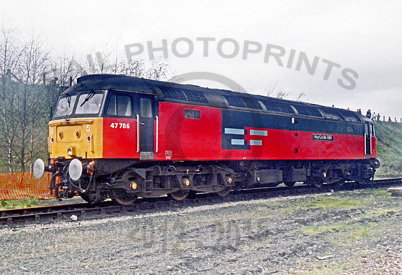 47786 Tinsley 270496 ABerry016