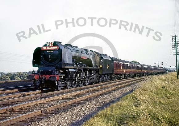 46239-Y-WeaverJunction-240758-RW266R