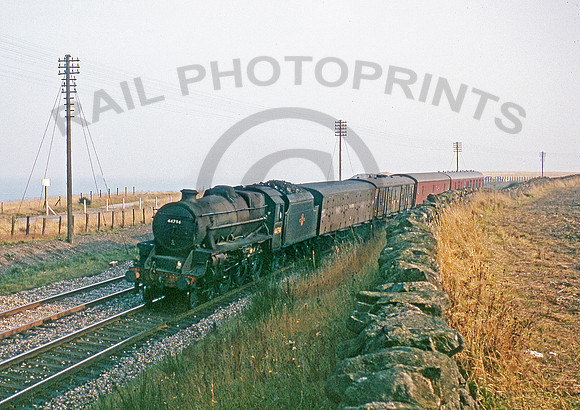 44794-CoveBay-1065-BR596RR