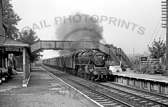 44825 Shap 0767 GE