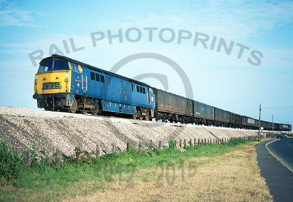 1005-Y-Cockwood-110676-DCC146