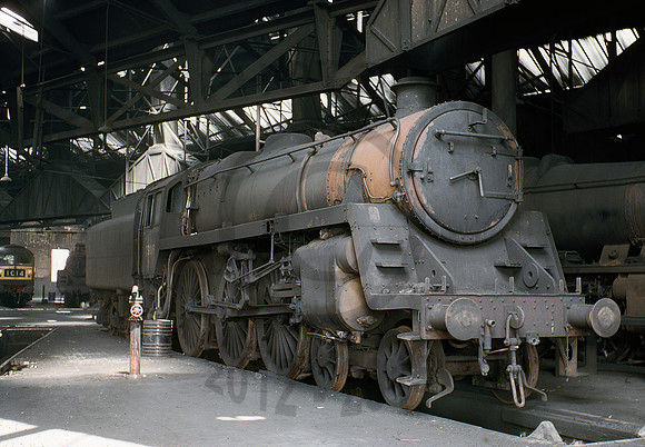 73019-Y-Oxley-0566-BR569