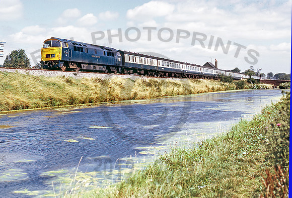 1026-Y-Crofton-0874-RPC336