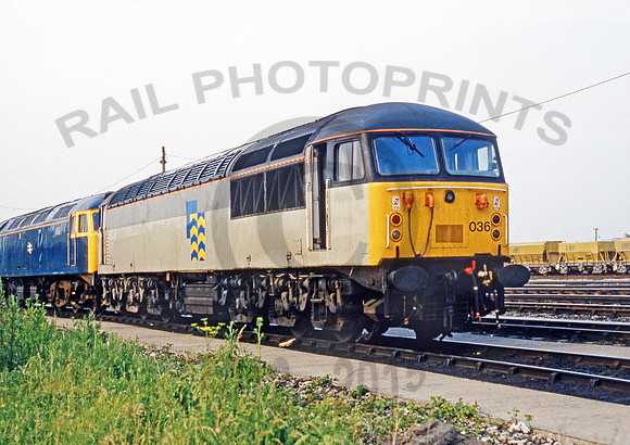 56036-Y-Westbury-250688-JC022