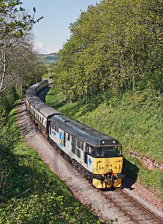 31271-NethercottWSR-080505-RP022