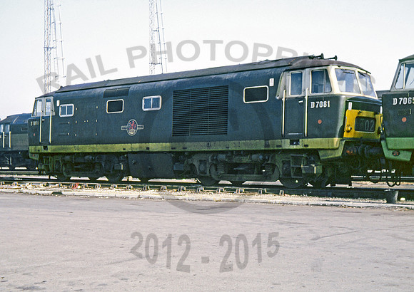 D7081 where 0966 DC157