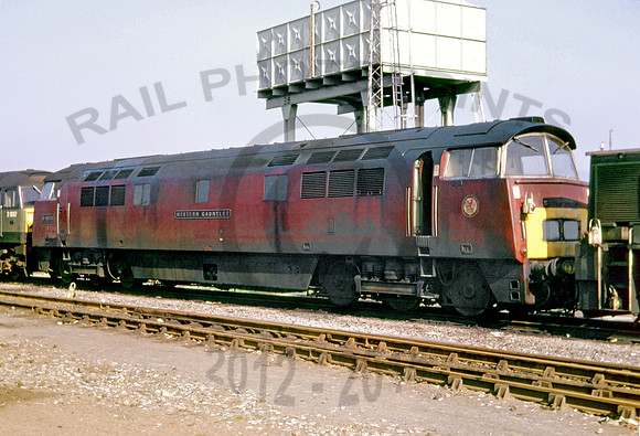 D1070 where 0966 DC158