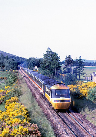 43161 Castleton  270686 JC240