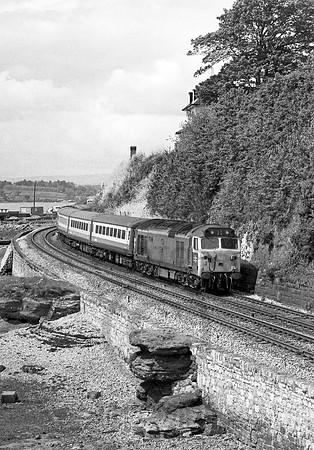 50011-Shaldon-230582-JC