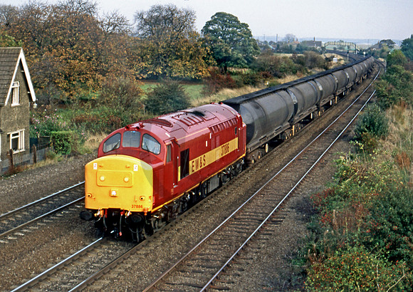 37886 Melton Ross 041096 R-CJ541