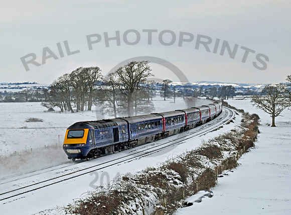 43024 Powderham 190319 GL024