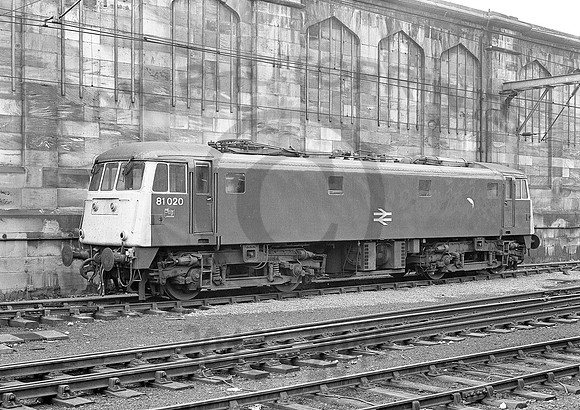 81020-Y-Carlisle-301085-089