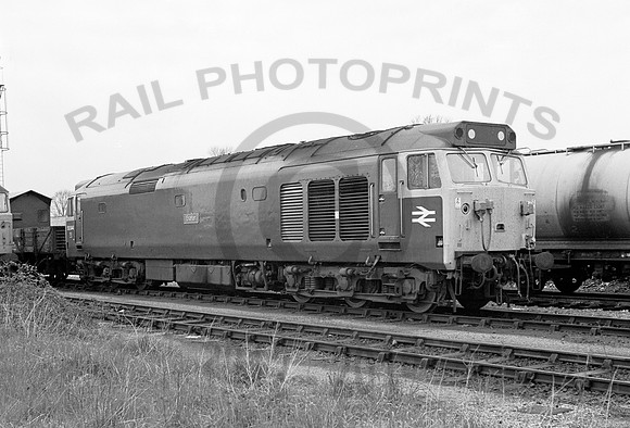 50044-Westbury-140578-JC