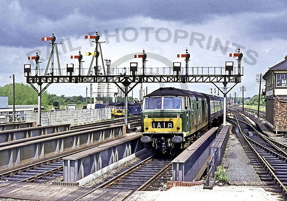 D7054 Oxford  110672  DMo131R
