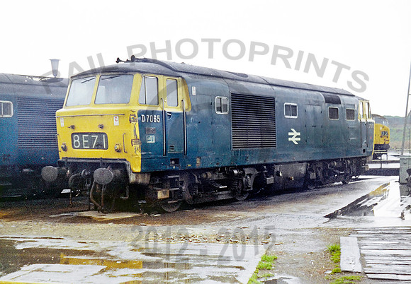 D7065-Y-OldOakCommon-260470-RPC039