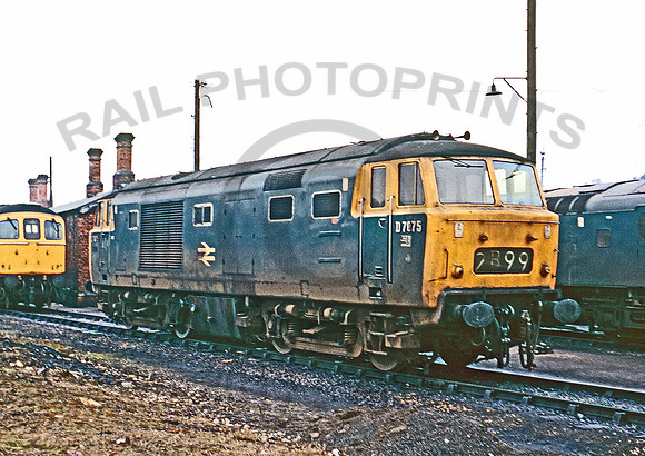 D7075-Exeter-250273-RPC881