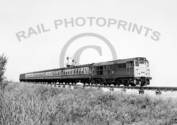 31312-Y-DawlishWarren-110881-RPC-233