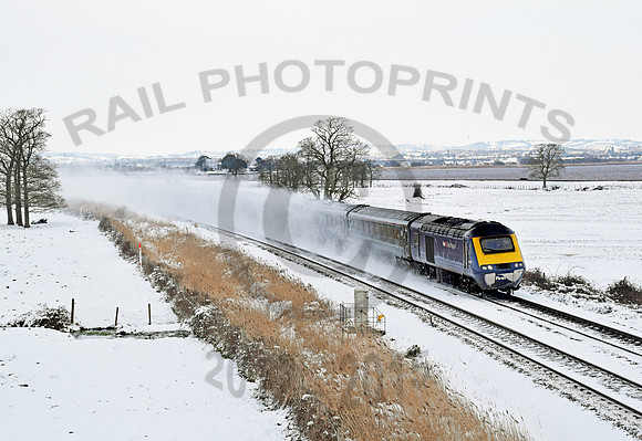 43125 Powderham 190318 GL094