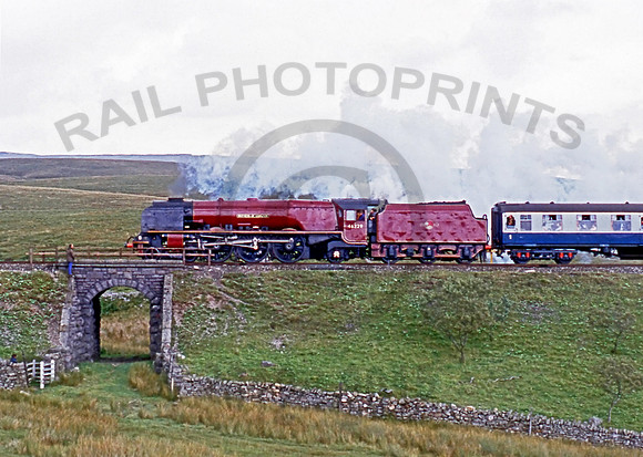 46229 Birkett 100882 RPC125