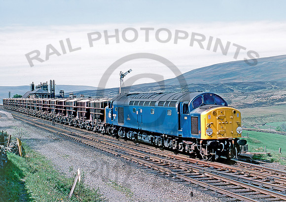 40022-Y-Garsdale-250578-DC873