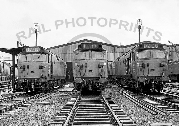 426-404-439-Y-CreweTMD-1170-RPC1