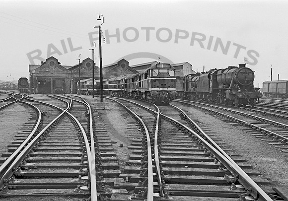March shed yard 240460 NP722