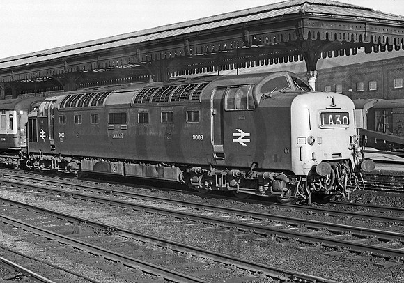 9003 York 210372  NP809