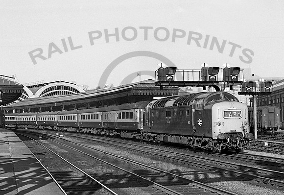 9003 York 210372  NP810